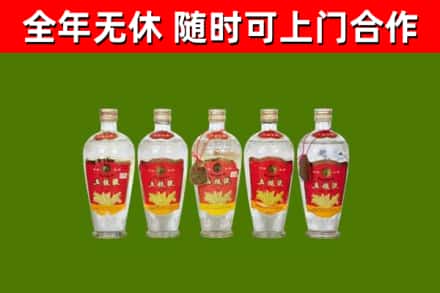 肇庆回收老五粮液